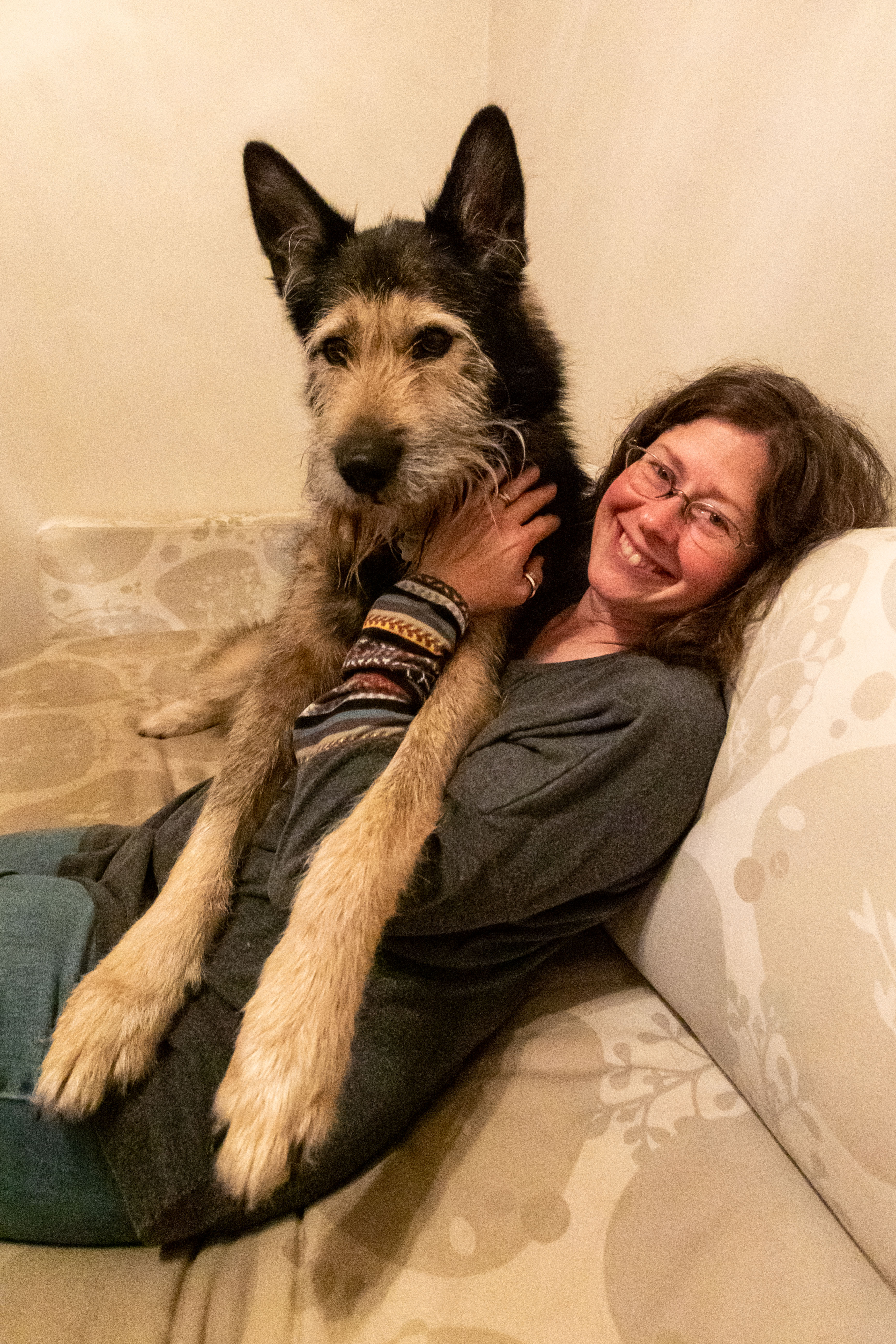 Beth with Old Boy, a Picardy Shepherd she petsat for on a road trip to Montreal